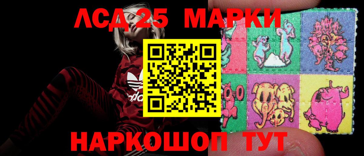 Лесной  omg ссылка  Лсд 25 экстази кислота  Вход с VPN  ЛСД экстази ecstasy 