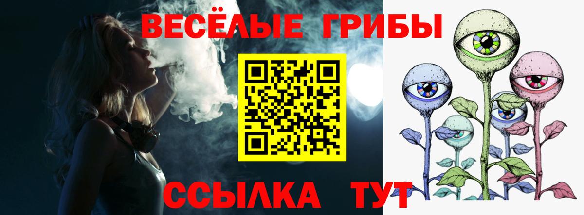 Лесной  Галлюциногенные грибы GOLDEN TEACHER  Вход с VPN 